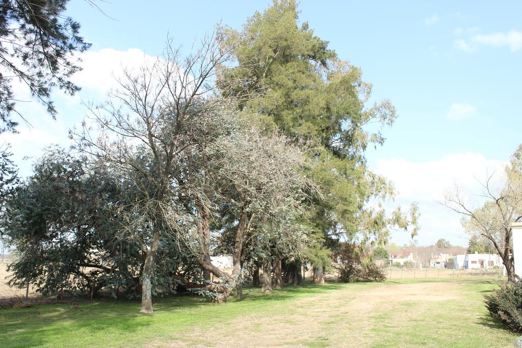 סן אנטוניו דה ארקו Hotel El Triunfo De Areco מראה חיצוני תמונה