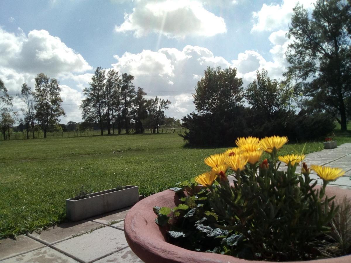 סן אנטוניו דה ארקו Hotel El Triunfo De Areco מראה חיצוני תמונה