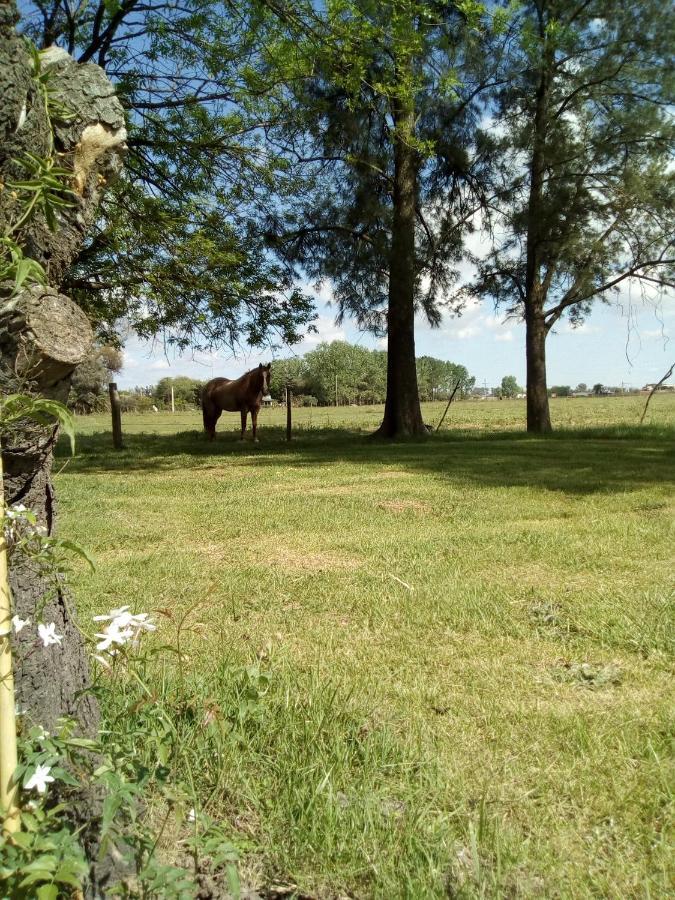 סן אנטוניו דה ארקו Hotel El Triunfo De Areco מראה חיצוני תמונה